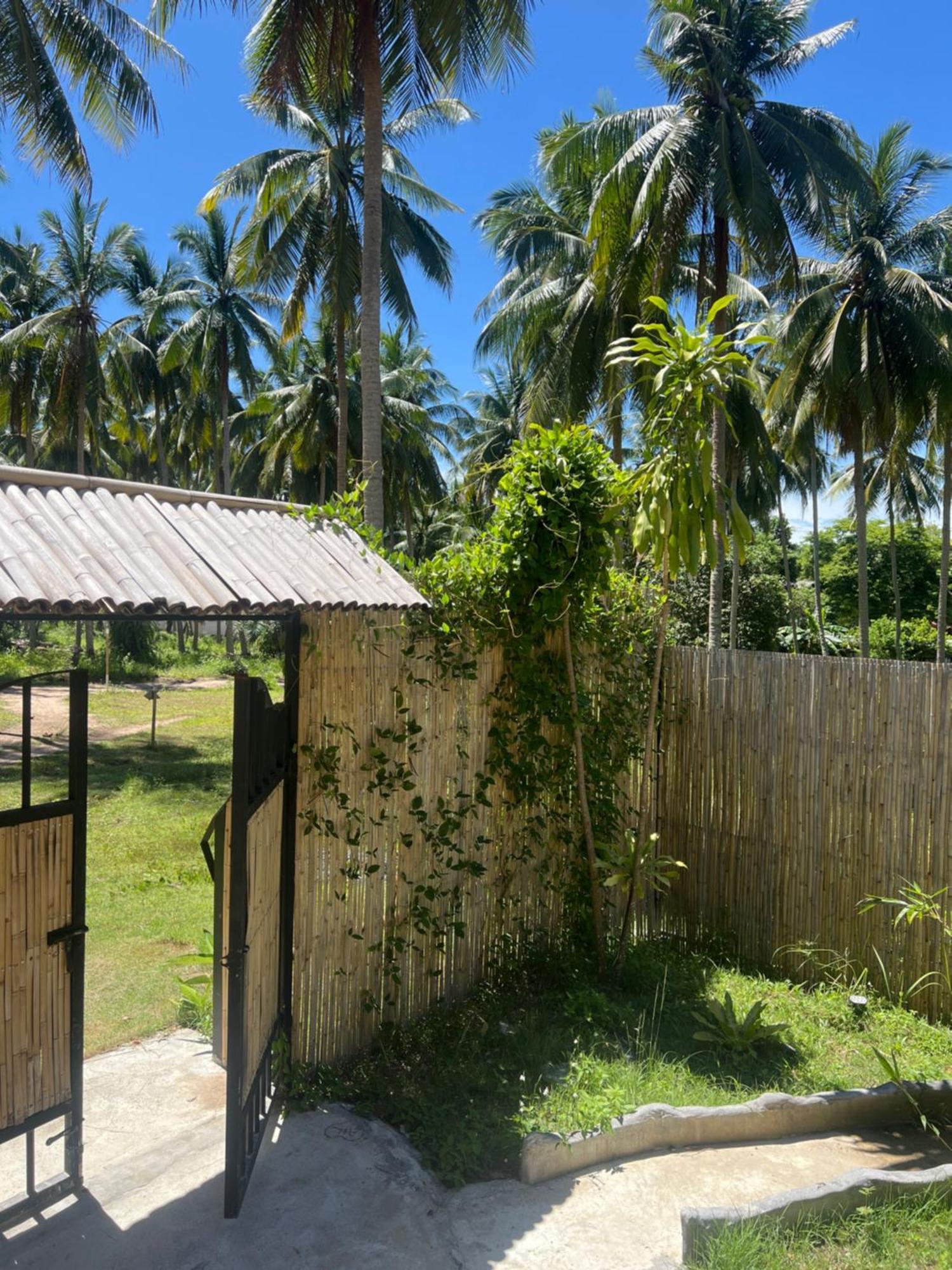 Behind The Temple Island Eco-Bungalow 15Min Walk To Hin Kong Beach Ko Pha Ngan Exterior photo